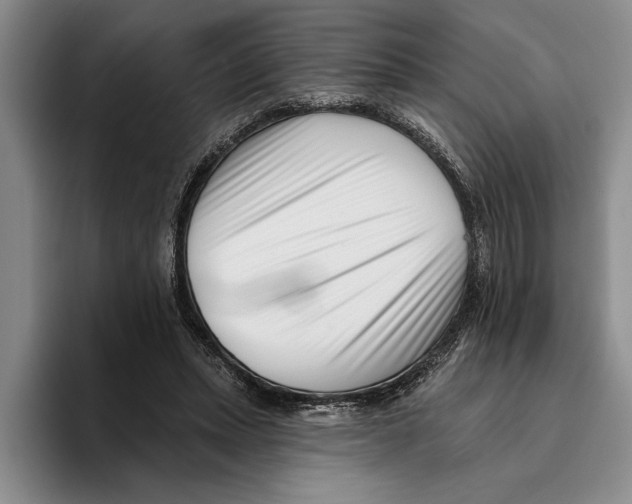X0000096210447200802151505