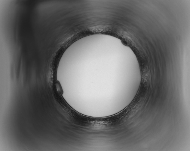 X0000096210448200802151505