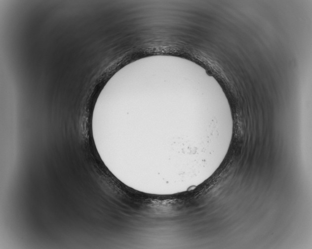 X0000096210450200802151505