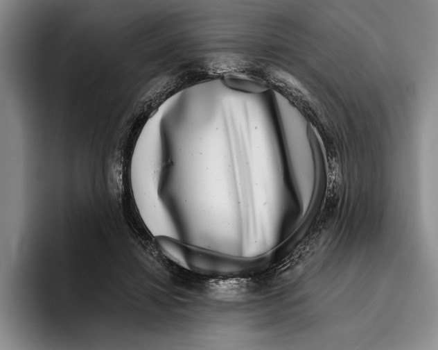X0000096210452200802151505