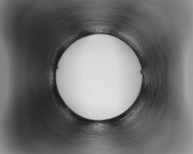 X0000096210453200802151505
