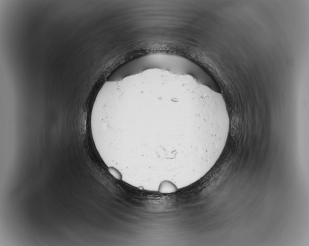 X0000096210454200802151505