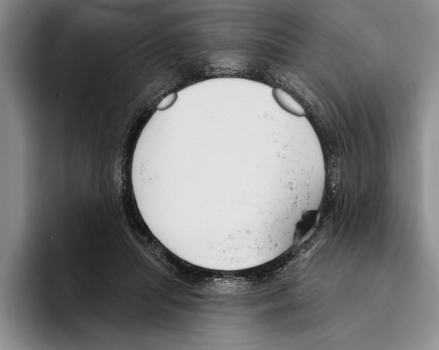 X0000096210455200802151505