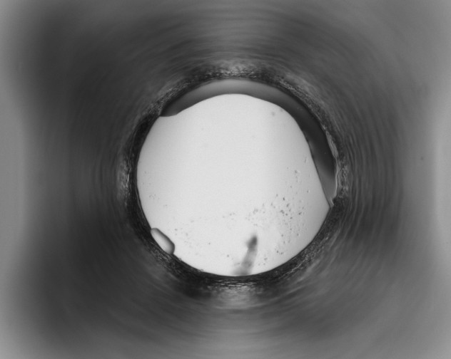 X0000096210456200802151505