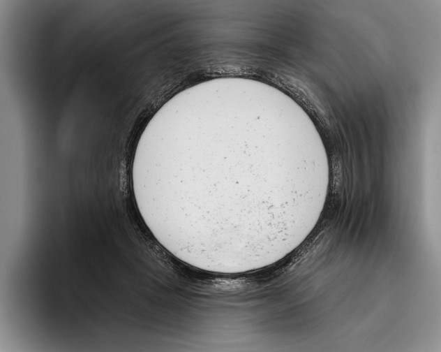 X0000096210457200802151505