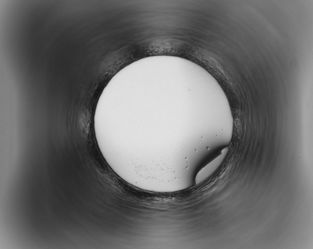X0000096210458200802151505
