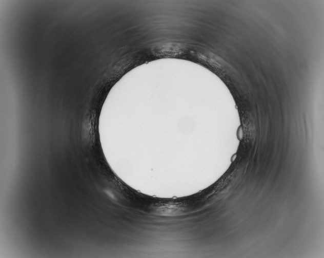 X0000096210460200802151505