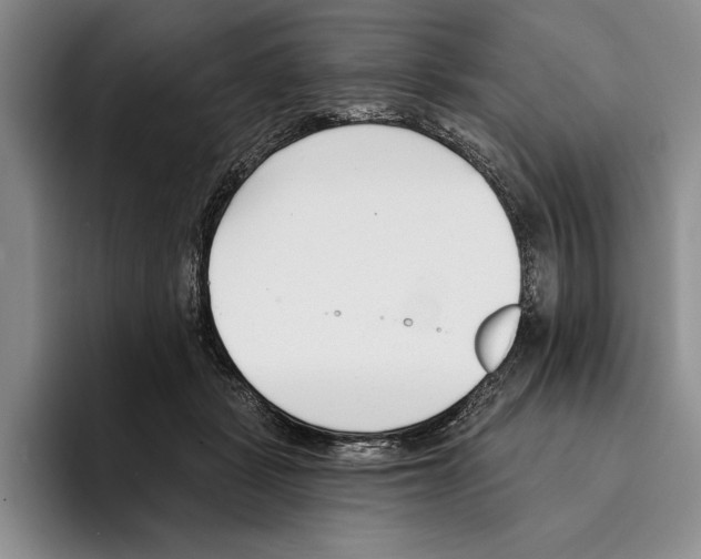 X0000096210461200802151505