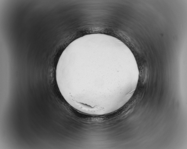 X0000096210462200802151505