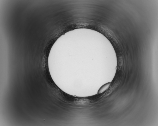 X0000096210463200802151505