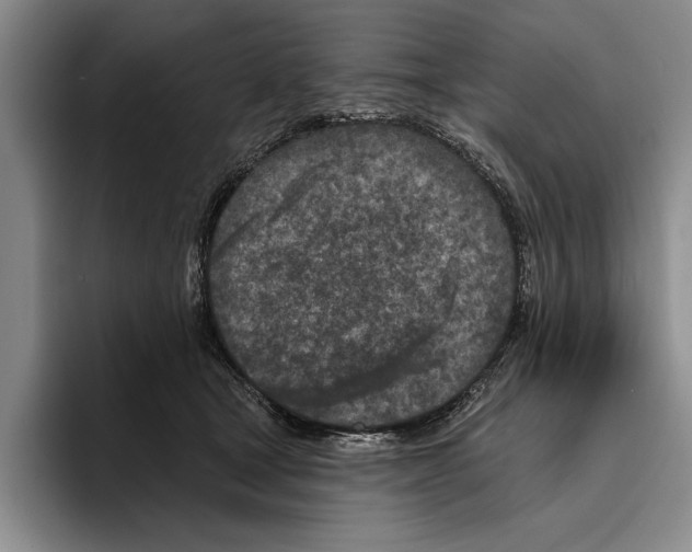 X0000096210465200802151505
