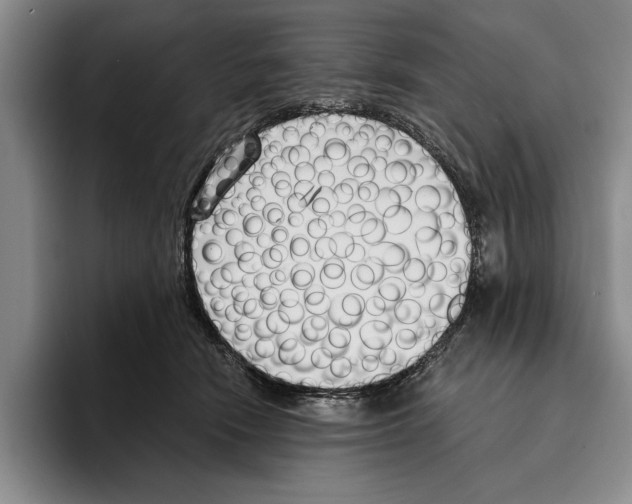 X0000096210466200802151505