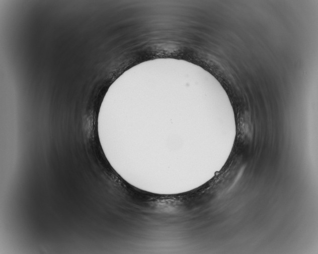 X0000096210468200802151505