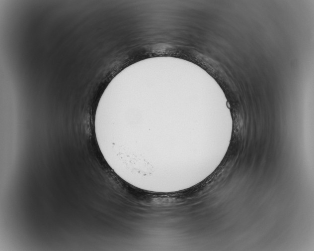X0000096210470200802151505