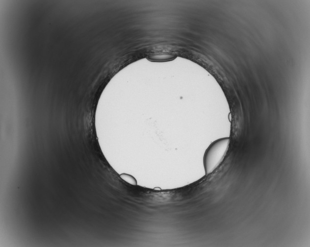 X0000096210473200802151506
