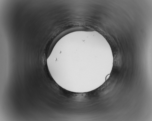 X0000096210474200802151506