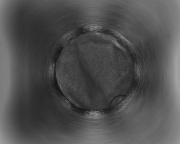 X0000096210475200802151506