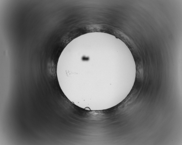 X0000096210477200802151506