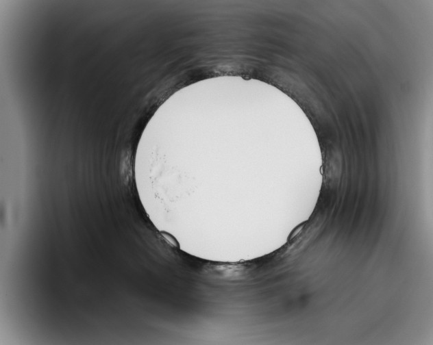 X0000096210478200802151506
