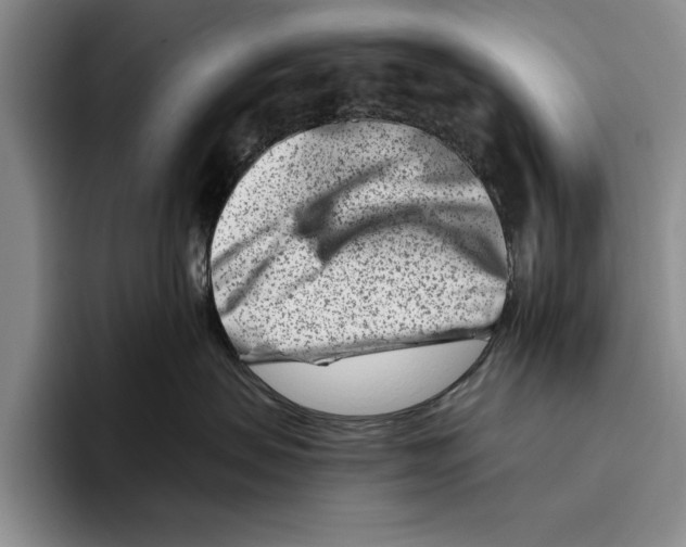 X0000096210479200802151506