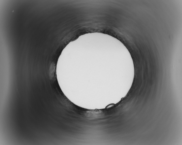X0000096210480200802151506
