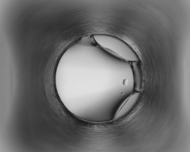 X0000096210481200802151505