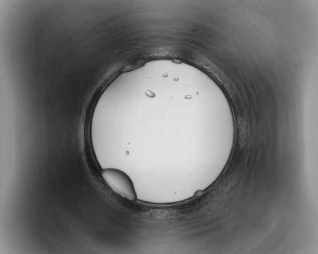 X0000096210482200802151505