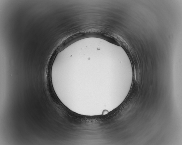 X0000096210483200802151505