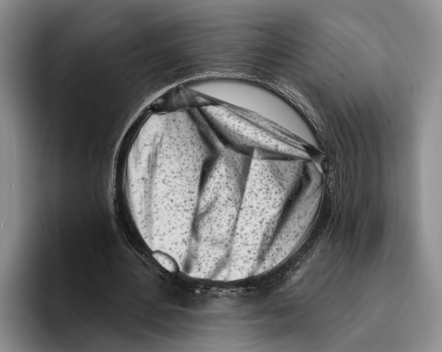 X0000096210484200802151505