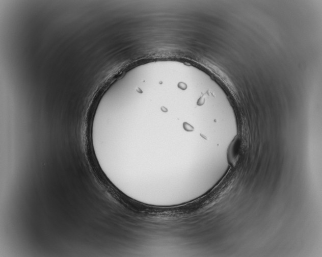 X0000096210485200802151505