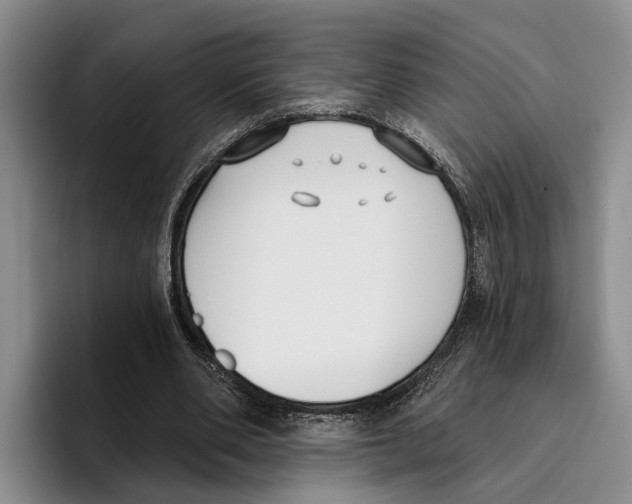 X0000096210486200802151505