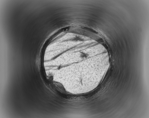 X0000096210488200802151505