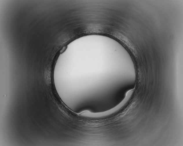 X0000096210489200802151505