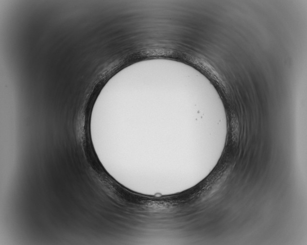 X0000096210490200802151505