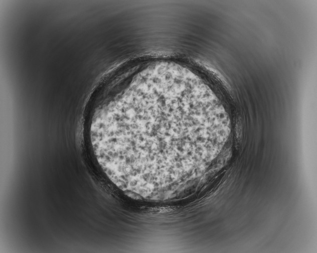 X0000096210492200802151505