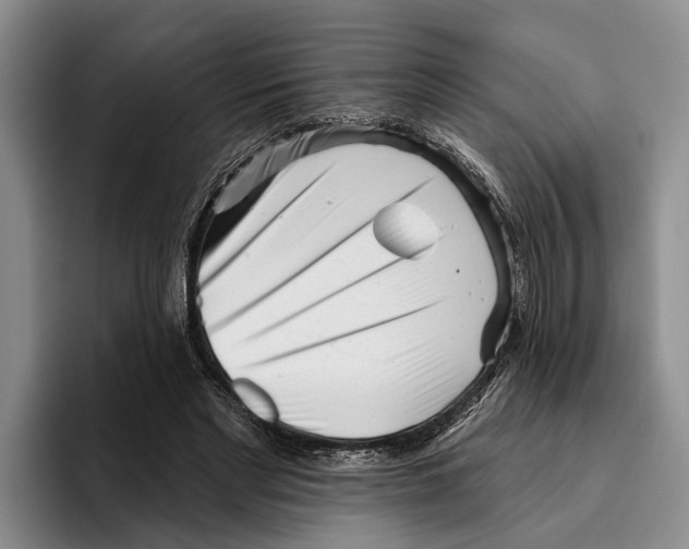 X0000096210493200802151505