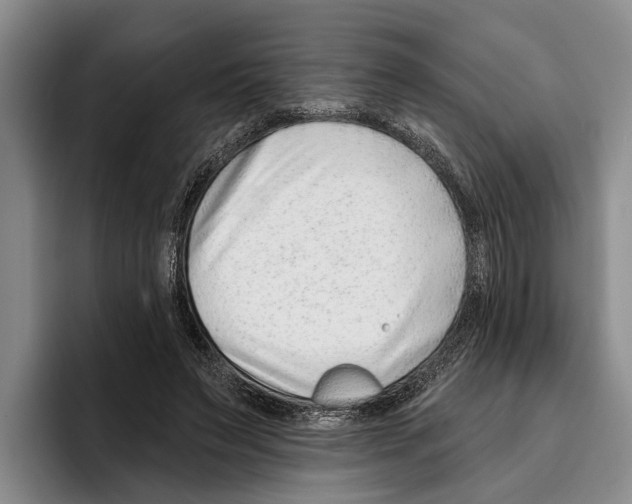 X0000096210495200802151505