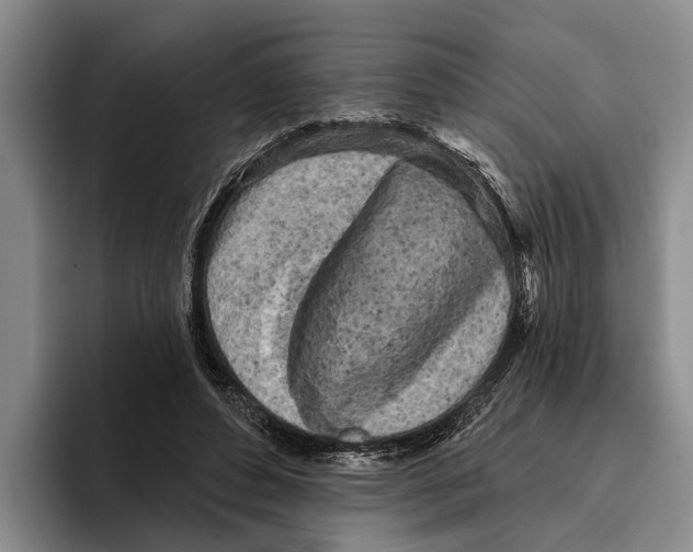 X0000096210496200802151505