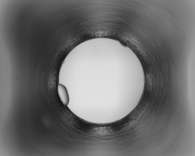 X0000096210499200802151505
