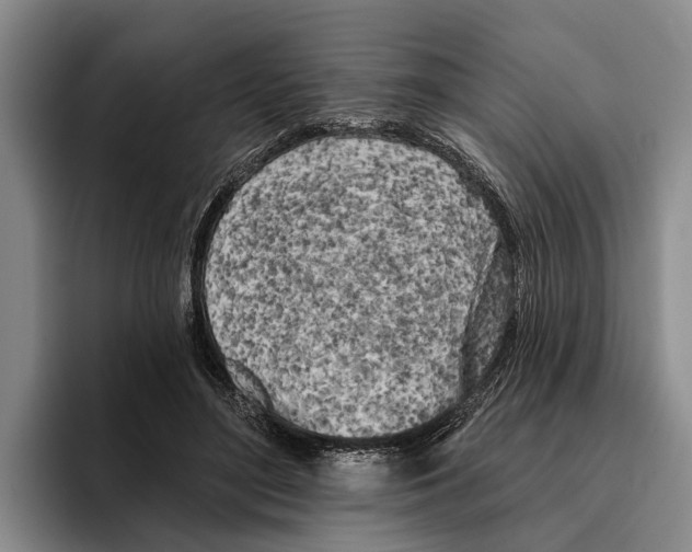 X0000096210500200802151505