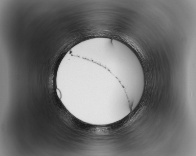 X0000096210501200802151505