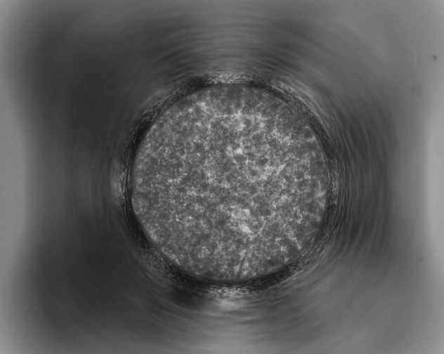 X0000096210503200802151505