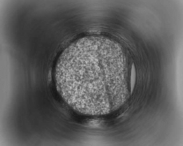 X0000096210504200802151505
