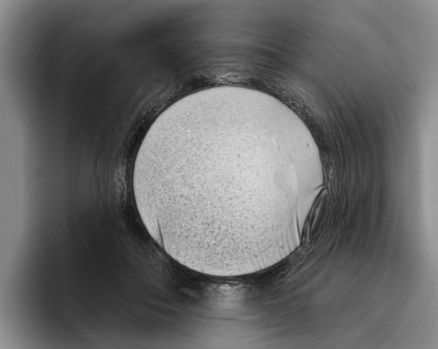X0000096210506200802151505