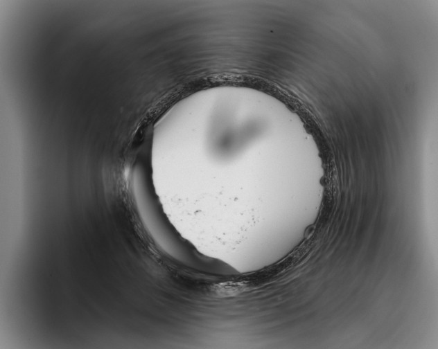 X0000096210508200802151505