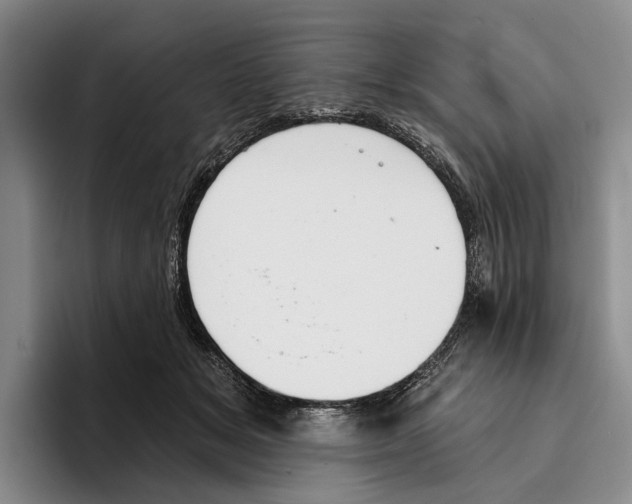 X0000096210509200802151505