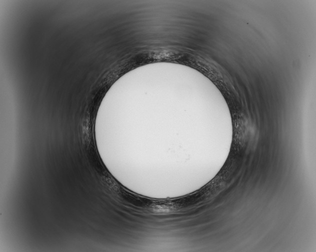 X0000096210510200802151505