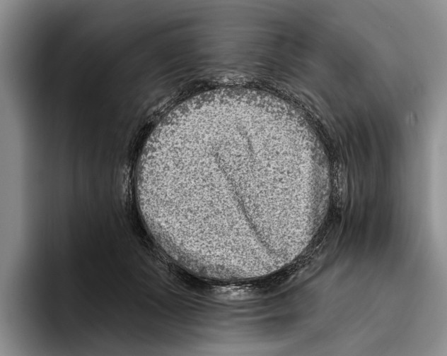 X0000096210511200802151505