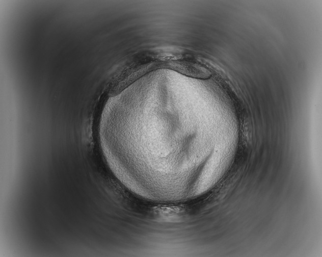 X0000096210512200802151505