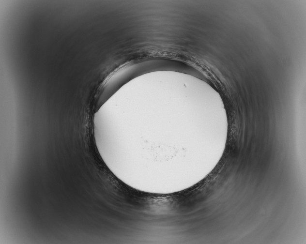 X0000096210513200802151505